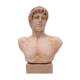 Buste d'homme antique