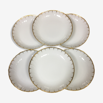 6 hollow plates bernardaud limoges model neuilly