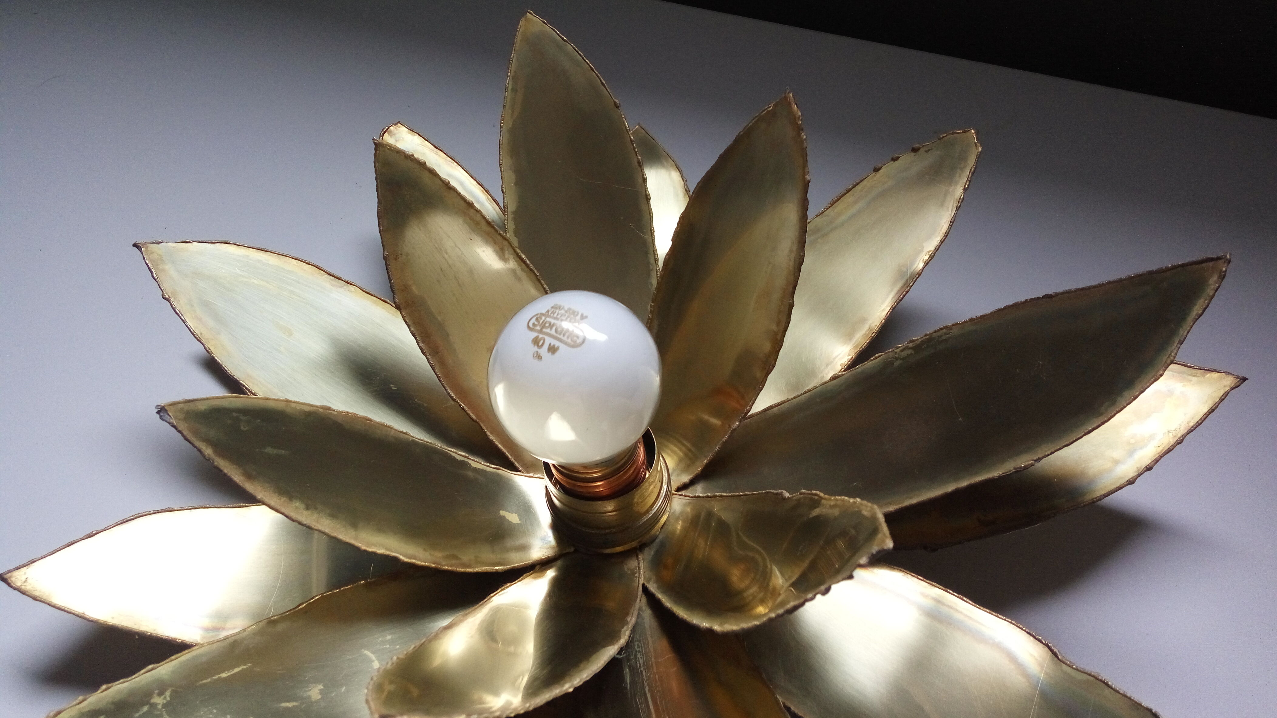 Vintage lotus flower wall lamp