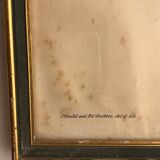 « Platycercus Icterotis » ornithological board  - J&L Gould