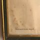« Platycercus Icterotis » ornithological board  - J&L Gould