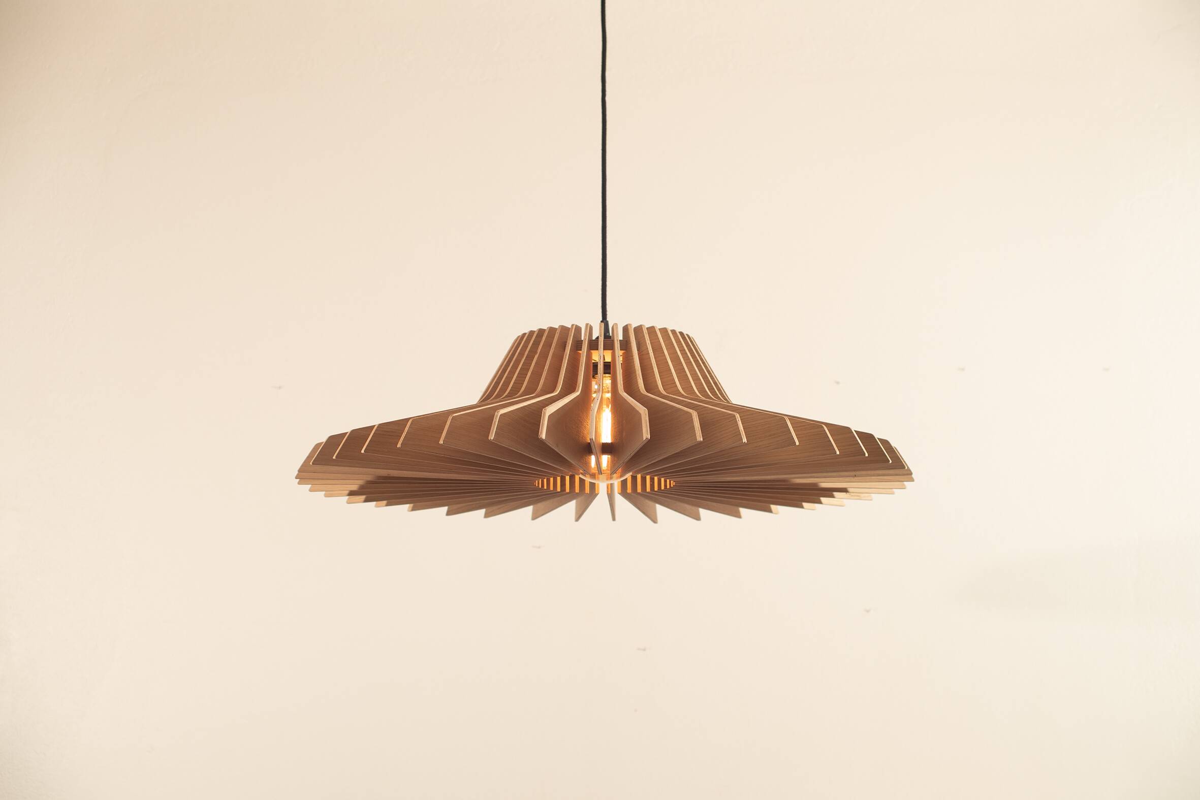 Large format suspension Alabama