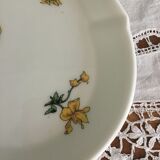 Plat ancien en porcelaine de Limoges