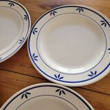 4 ironstone plates with blue pattern.