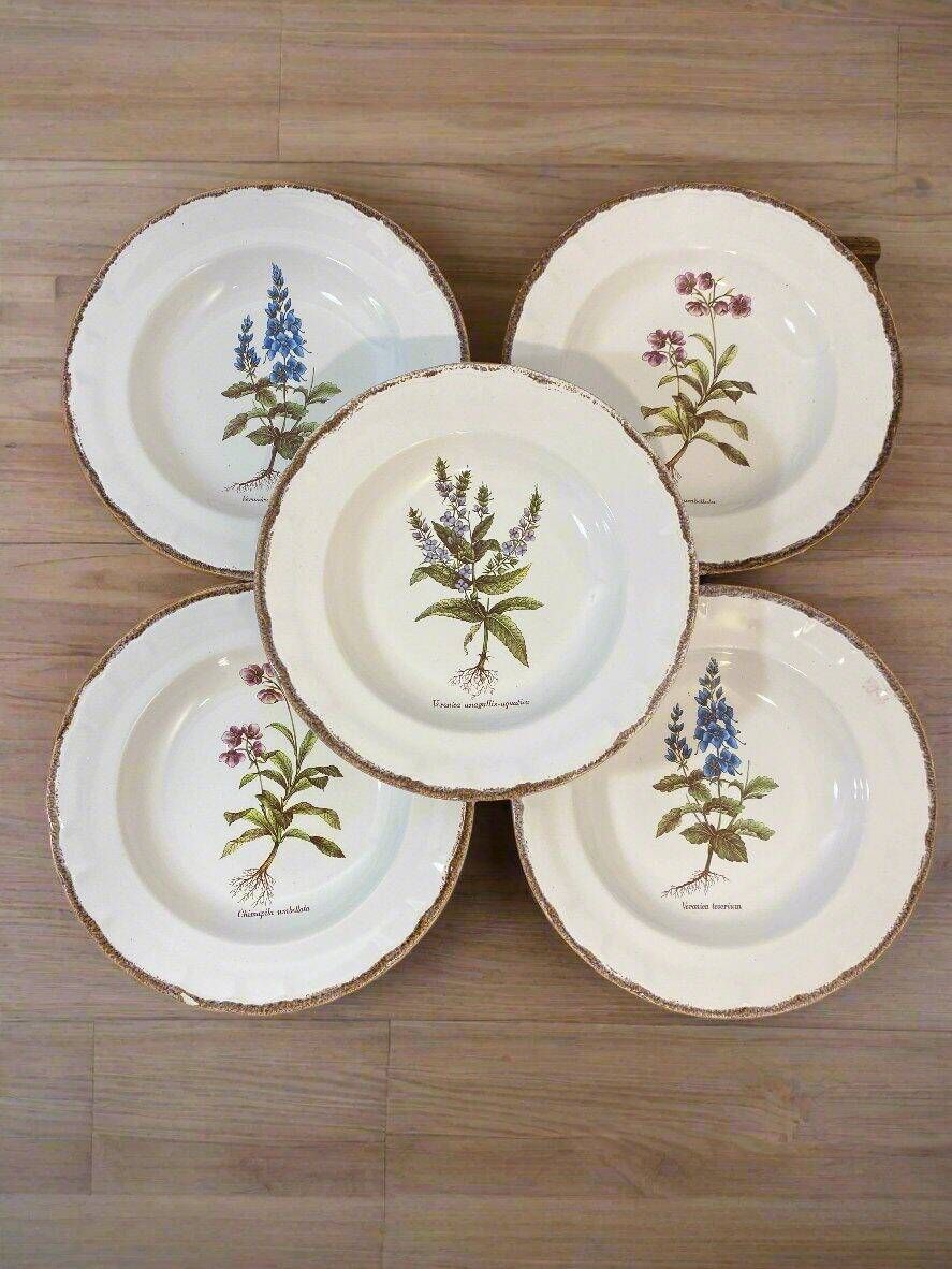 Set of 5 botanical deep plates, ADP Haute Provence