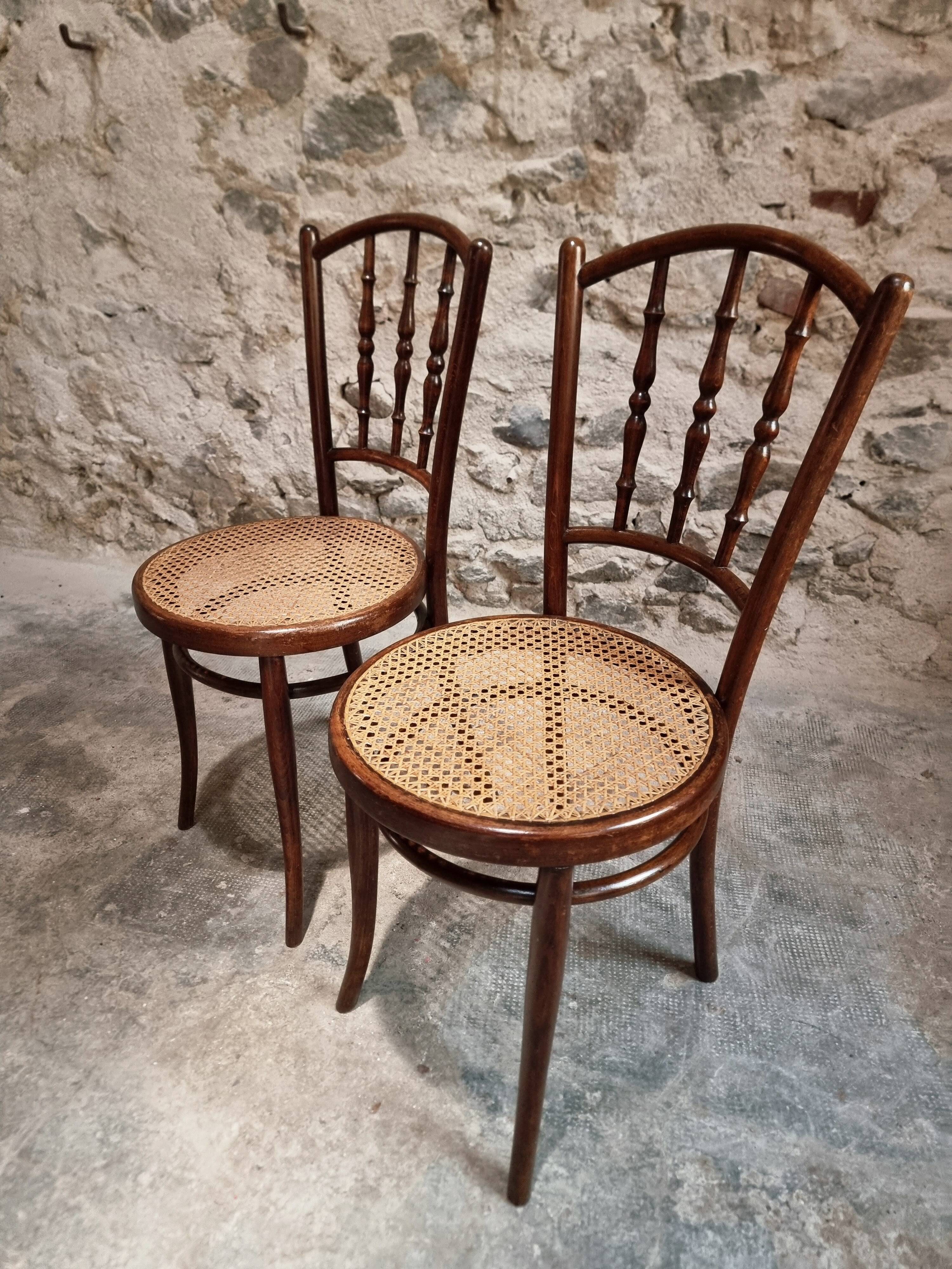 2 chaises bistrot viennoises Kohn antiques en bois courbé et cannage, Autriche vers 1900–1930