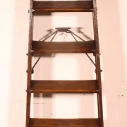 19th-century library ladder