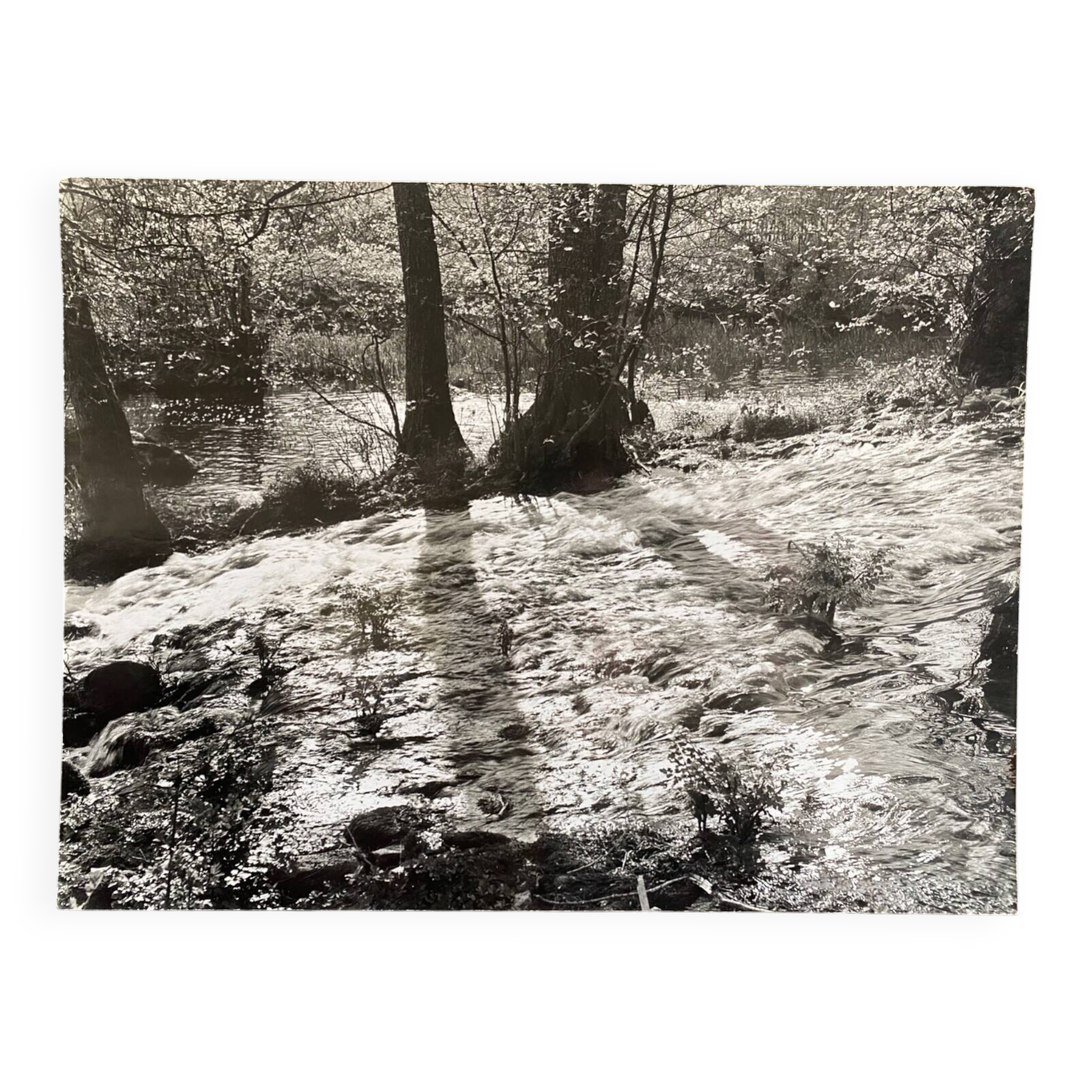 Photo argentique Bernard Darot L'Eau Vive Photo Club Nantais XXe