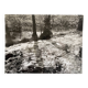 Photo argentique Bernard Darot L'Eau Vive Photo Club Nantais XXe