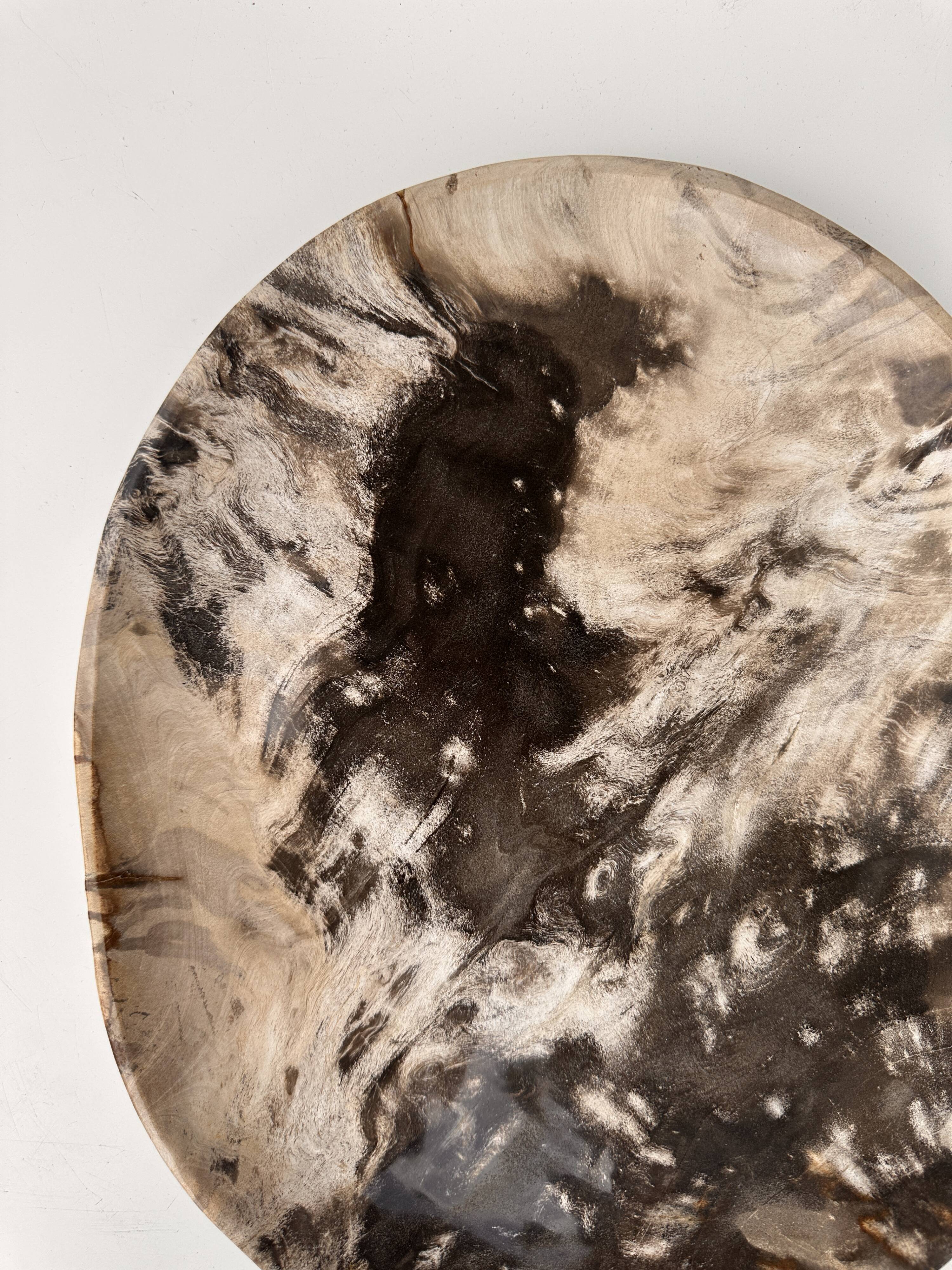 Very large empty pocket or petrified wooden flat