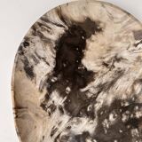 Very large empty pocket or petrified wooden flat