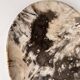 Very large empty pocket or petrified wooden flat