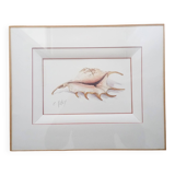 Watercolor signed Romey