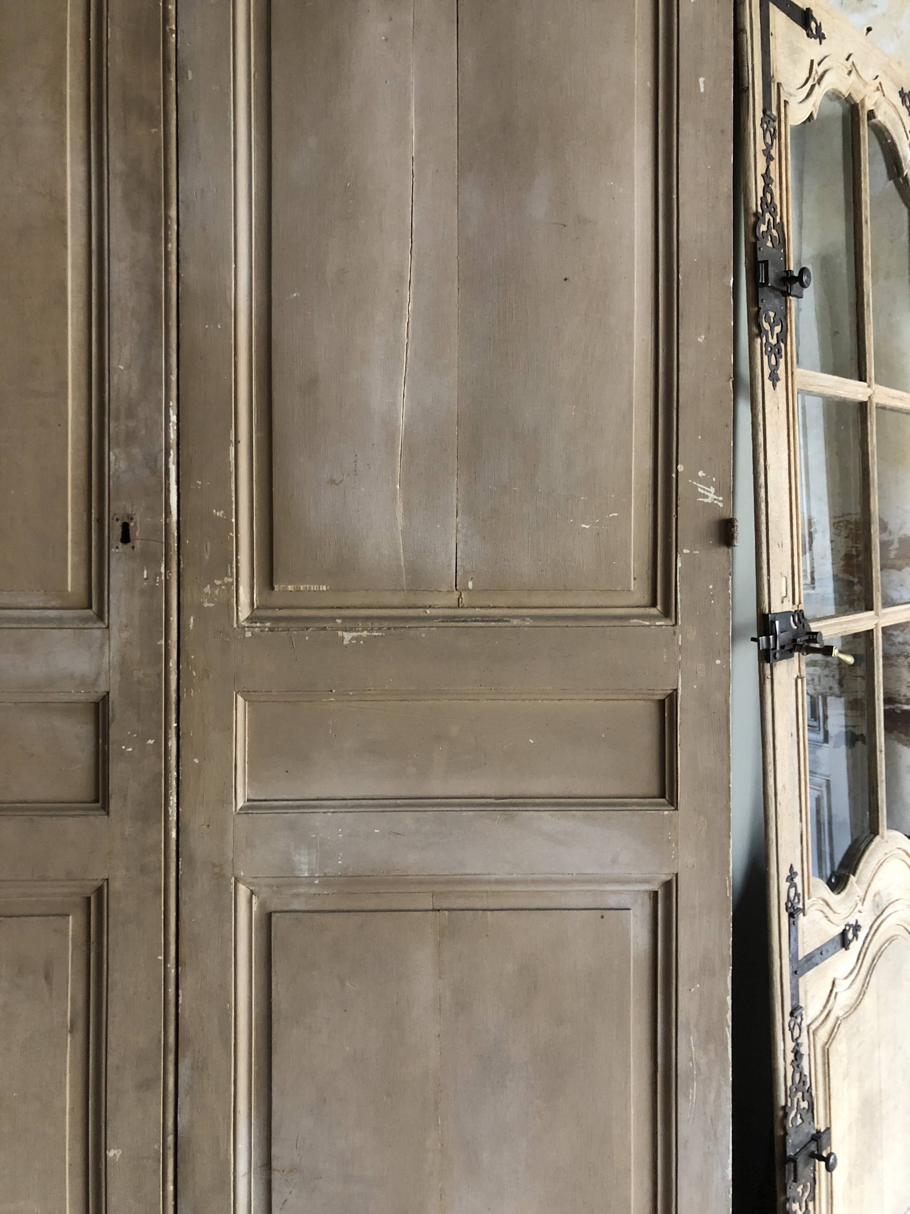 Pair of cupboard doors - 19th century