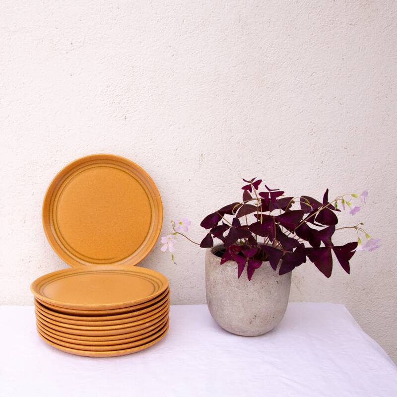 11 Sarreguemines sandstone flat plates Lorraine art workshop