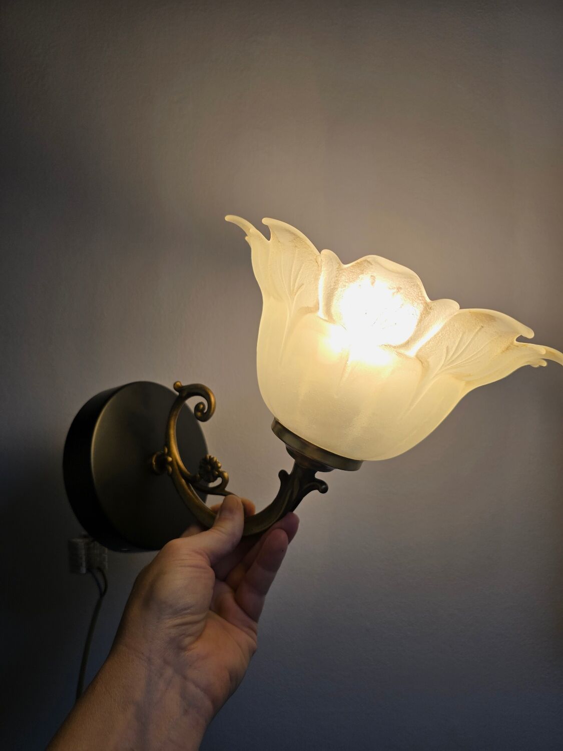 Frosted glass tulip wall sconces with brass arms.