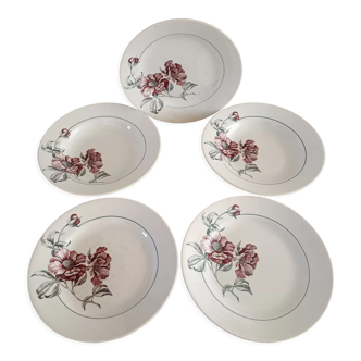 Lot de 5 assiettes terre de fer saint amand