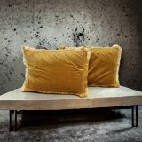 Pair of velvet cushions