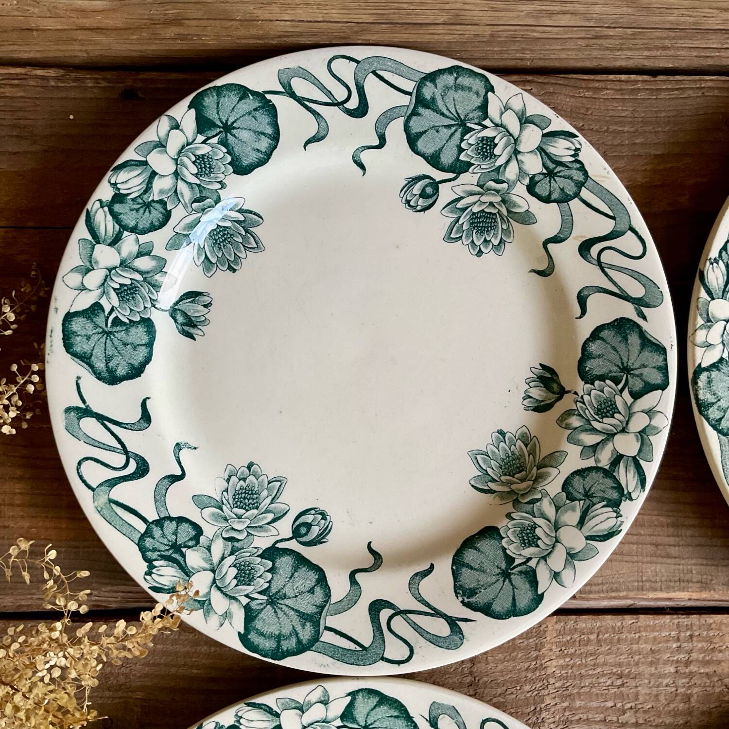 4 Nénuphar plates R & A Salins