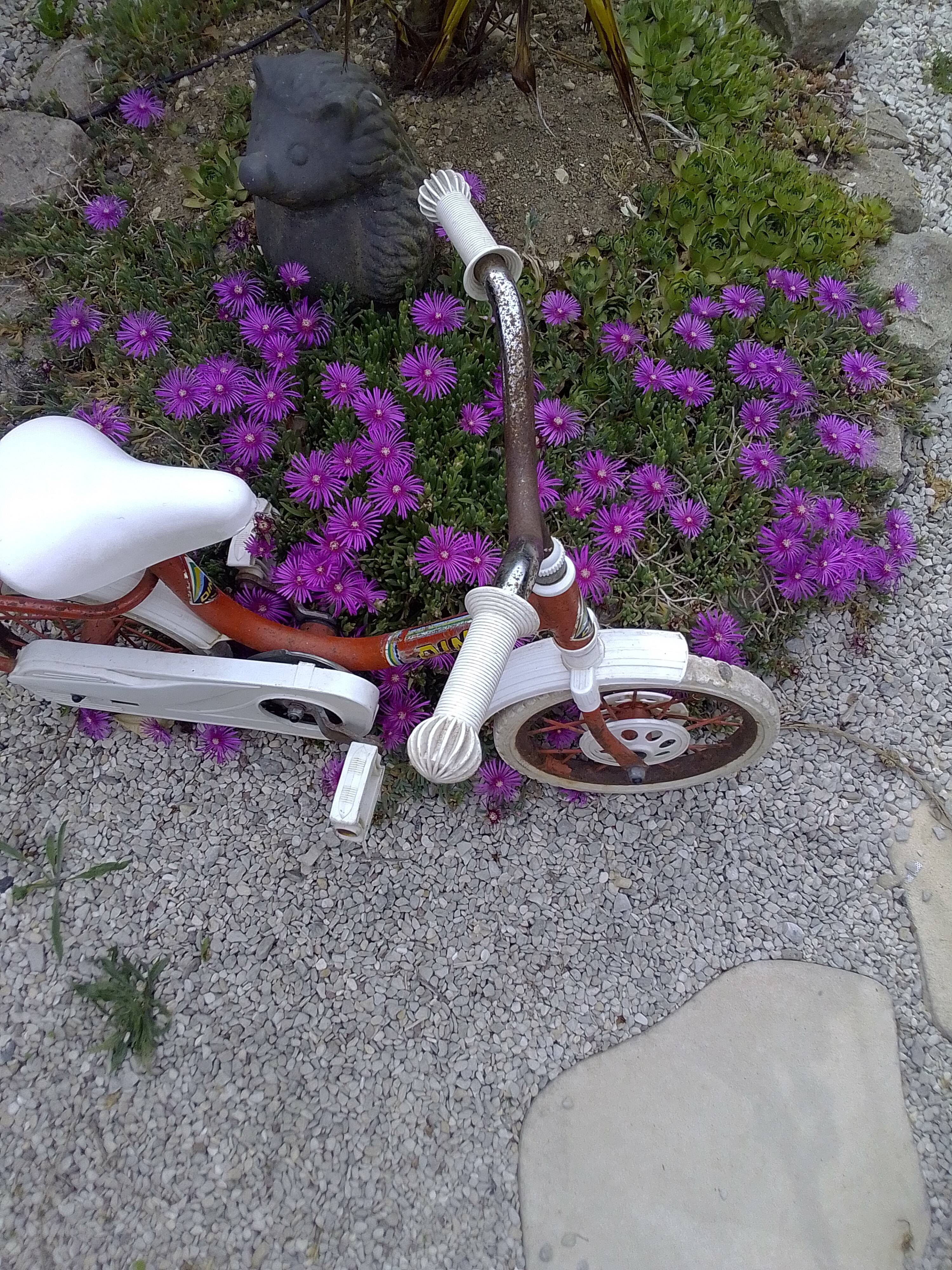 Vintage children's bike brand Dino