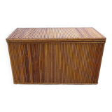 Trunk