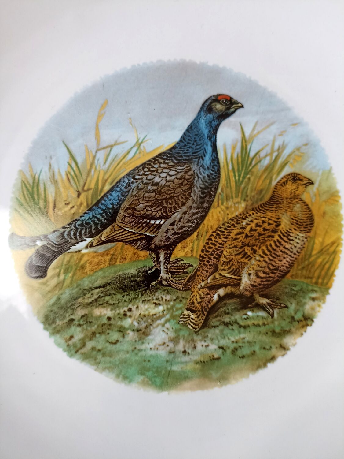 Longchamp game plates