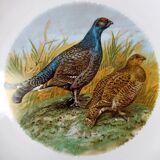 Assiettes gibier Longchamp