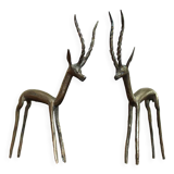 Brass gazelles