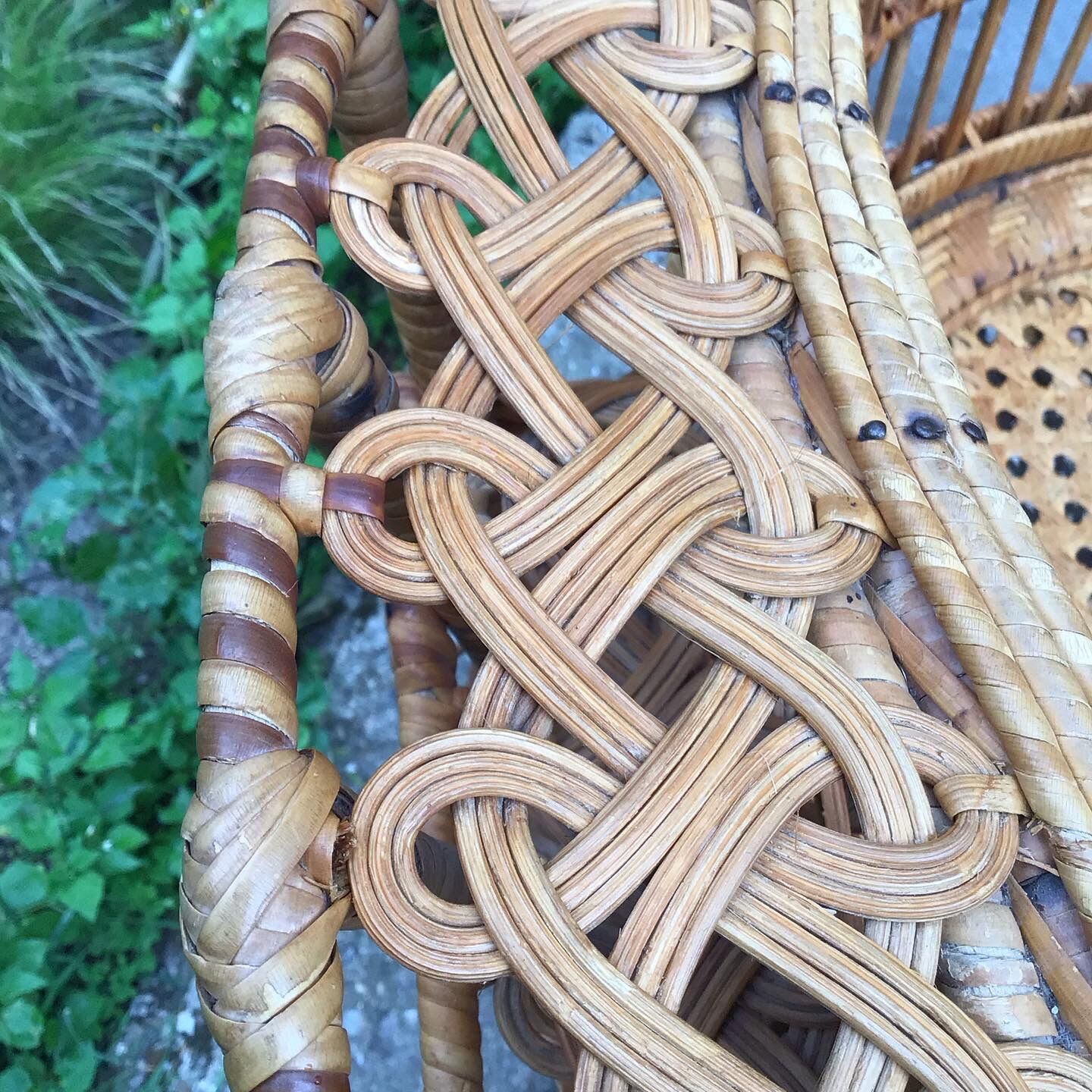 Emmanuelle peacock armchair