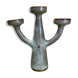 chandelier  cactus 