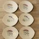 6 anciennes assiettes à poisson en faïence salins france vintage ovales