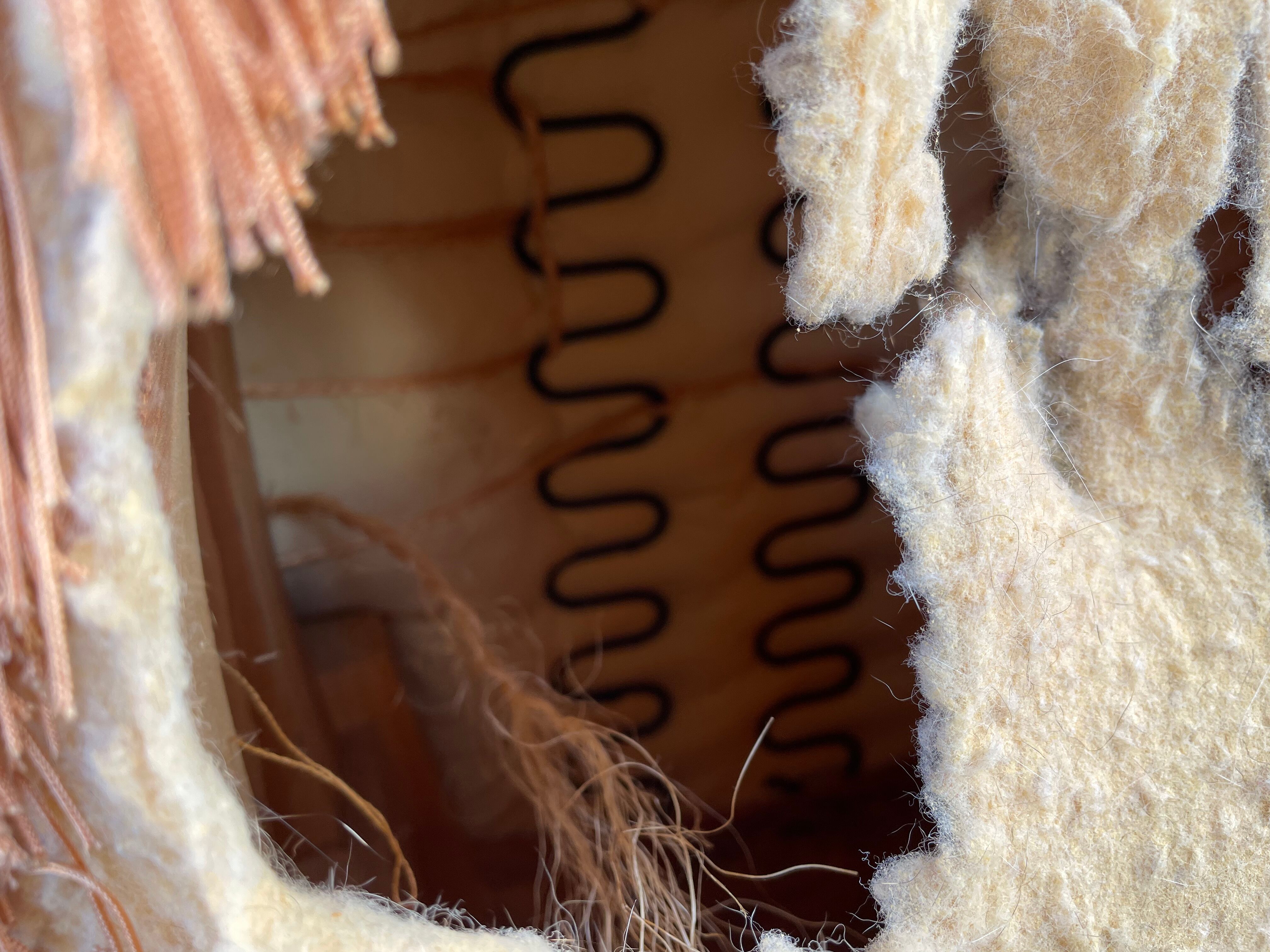 Padded golden yellow velvet toad