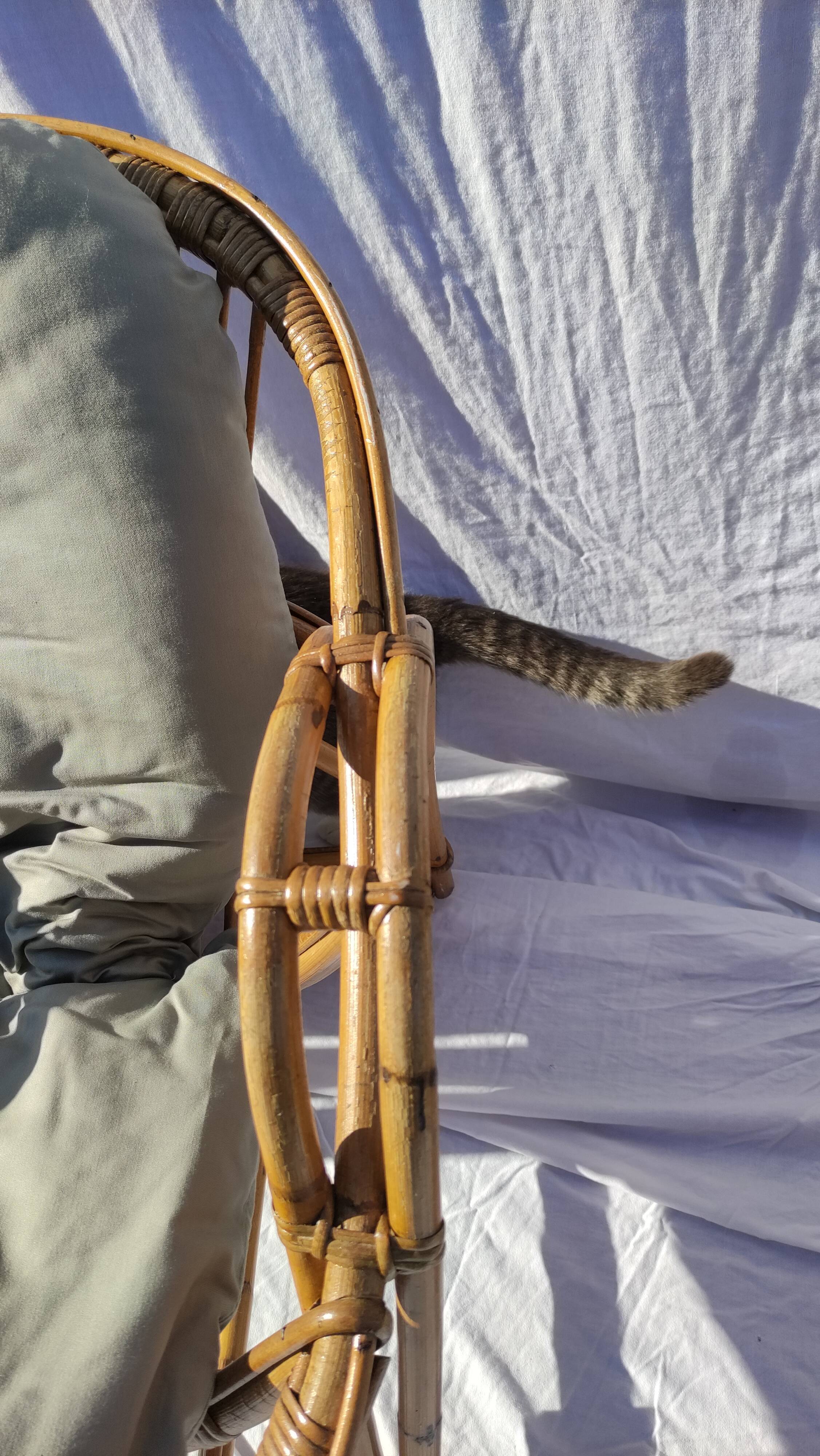 Pair of vintage rattan armchairs