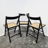 Folding Chair with Cane