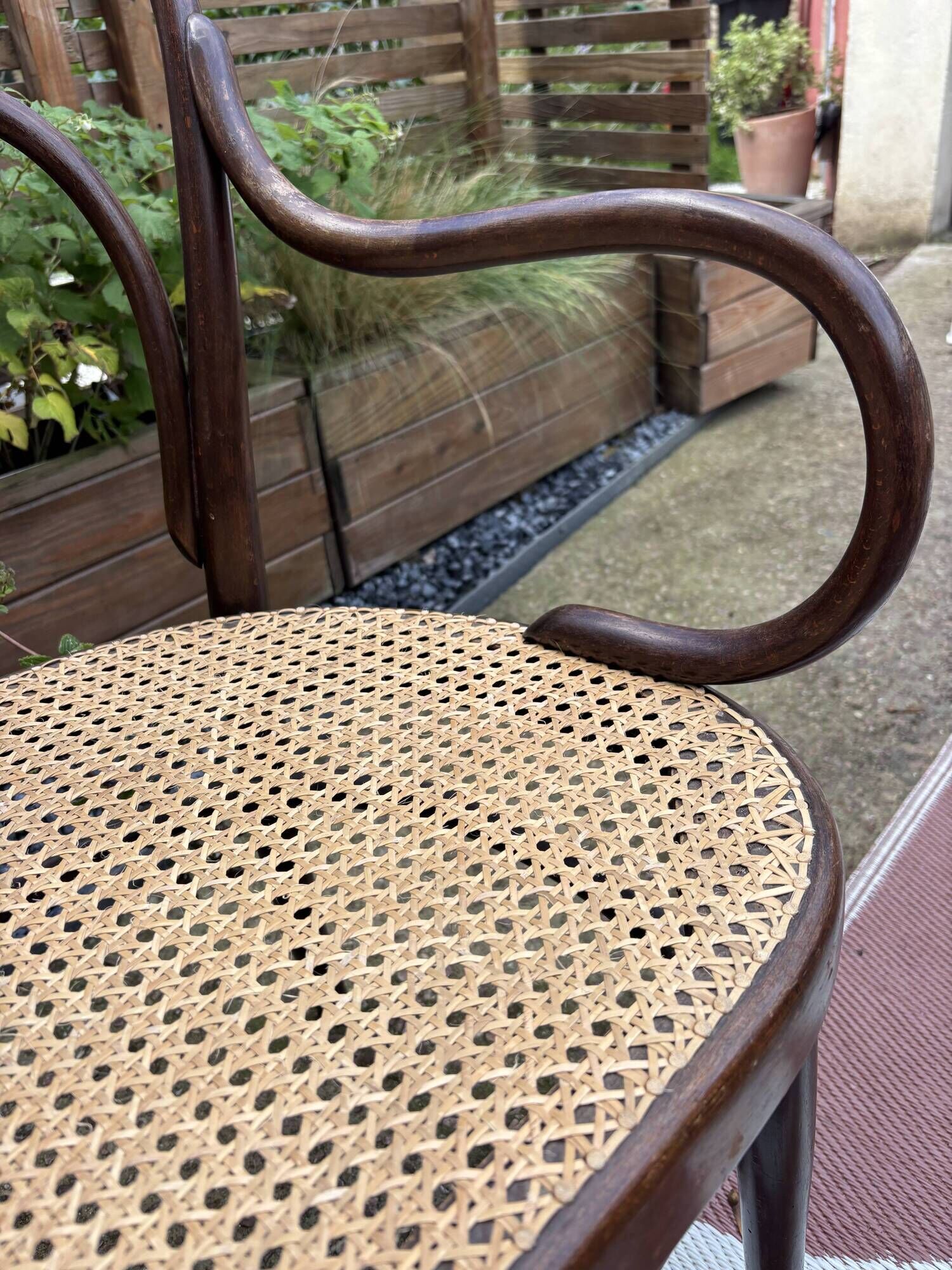 Antique Thonet bench in bent wood and caning, signed.