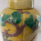 China ginger pot in glazed earth decorated with prunus decoration China XXth