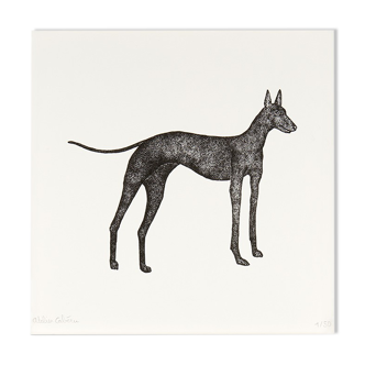 Gabin the Sicilian Greyhound - Risography (20x20cm)