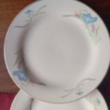 Set of 6 dessert plates in porcelain