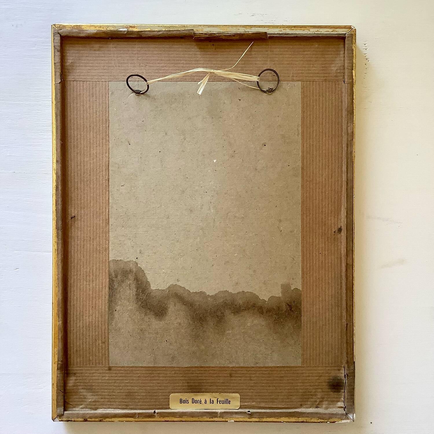 Botanical lithograph by Pierre Joseph Redouté