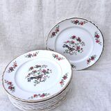 Plates