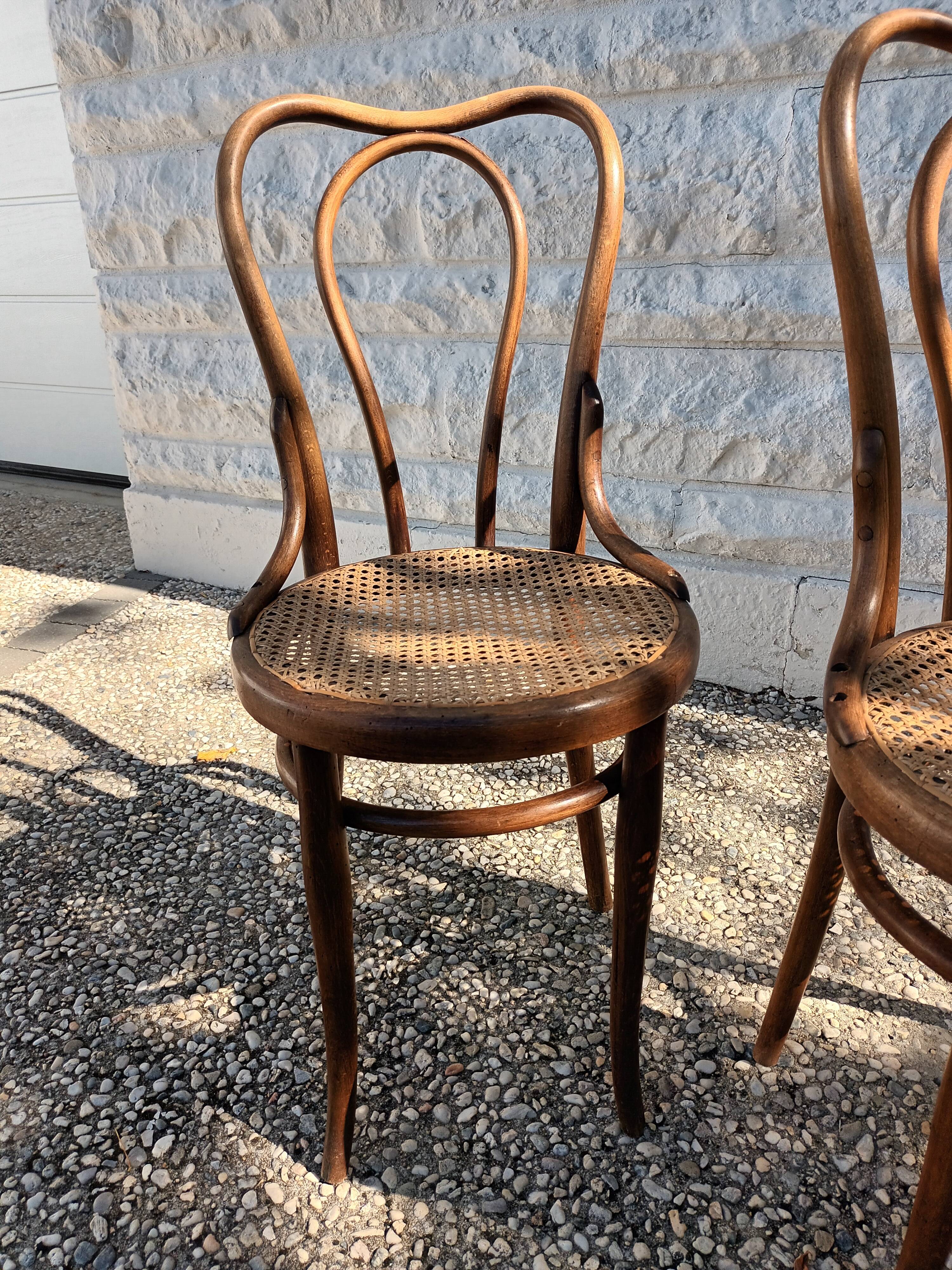 Chairs Thonet