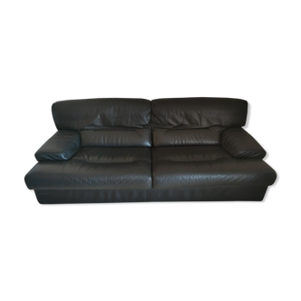 Ligne Roset sofa