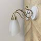 Paire appliques col de cygne laiton tulipe en verre blanc opaline