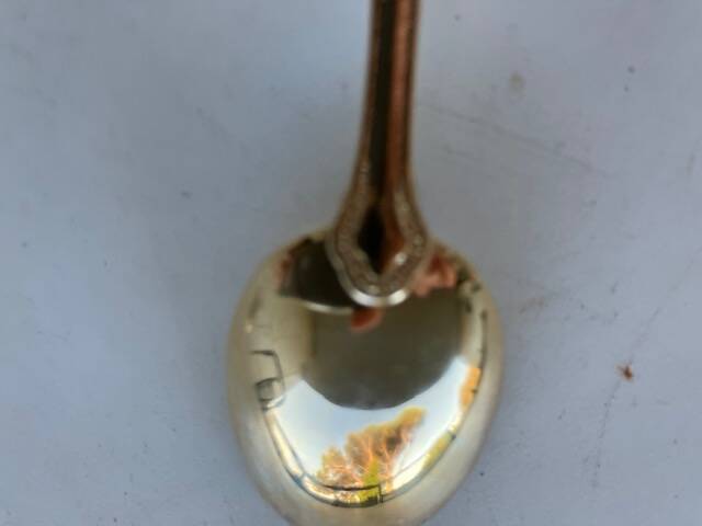 Set of 12 coffee spoons