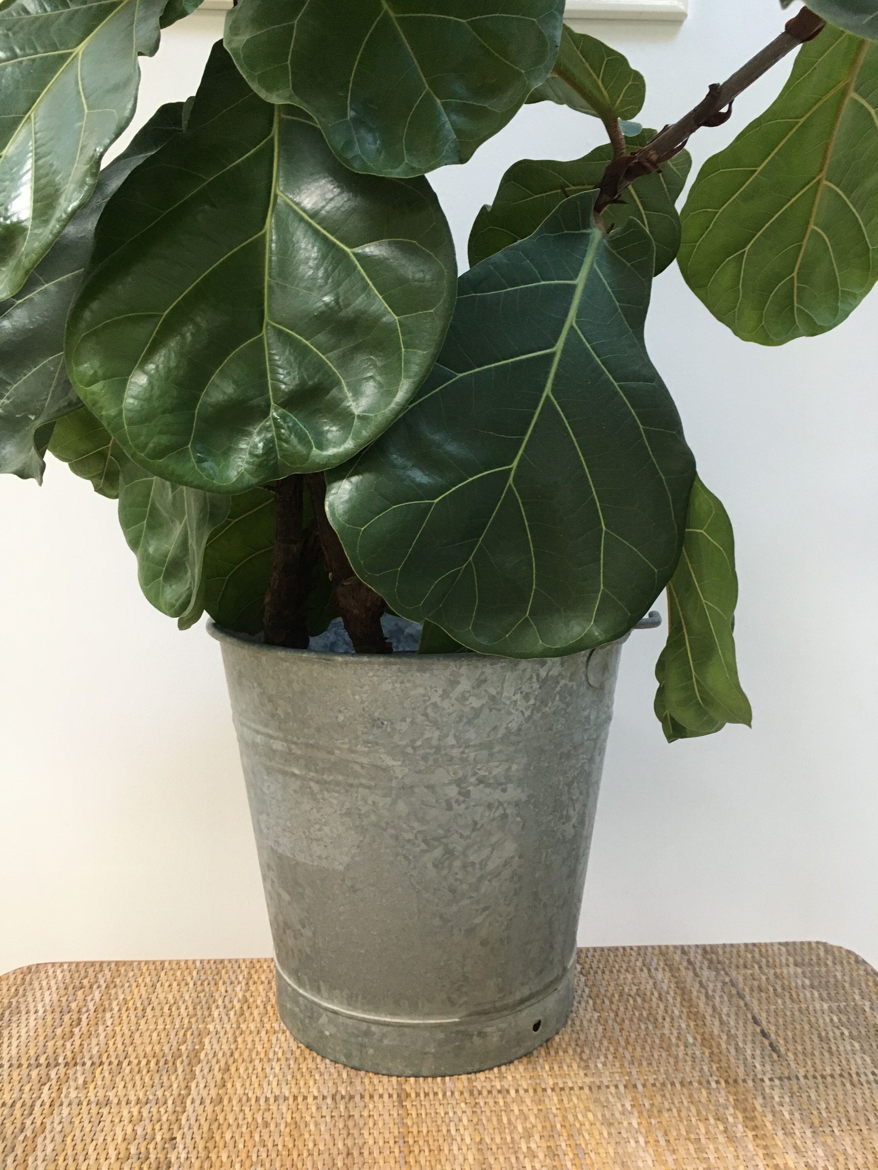 Vintage zinc bucket
