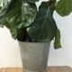 Vintage zinc bucket