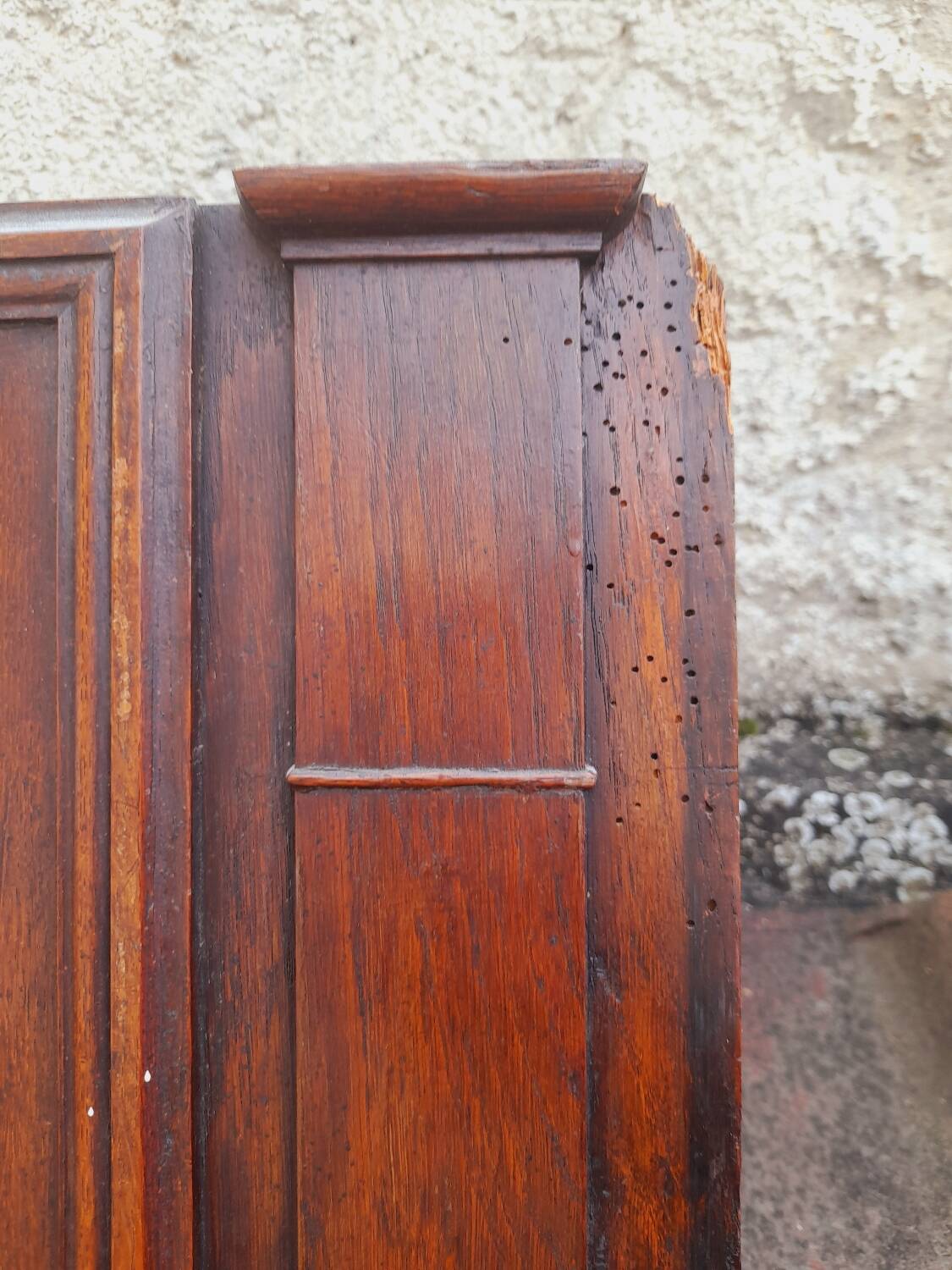 Pair of carved oak cabinet doors