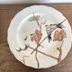 set de 12 assiettes polychrome 1850 ondulées Brownfield England oiseaux