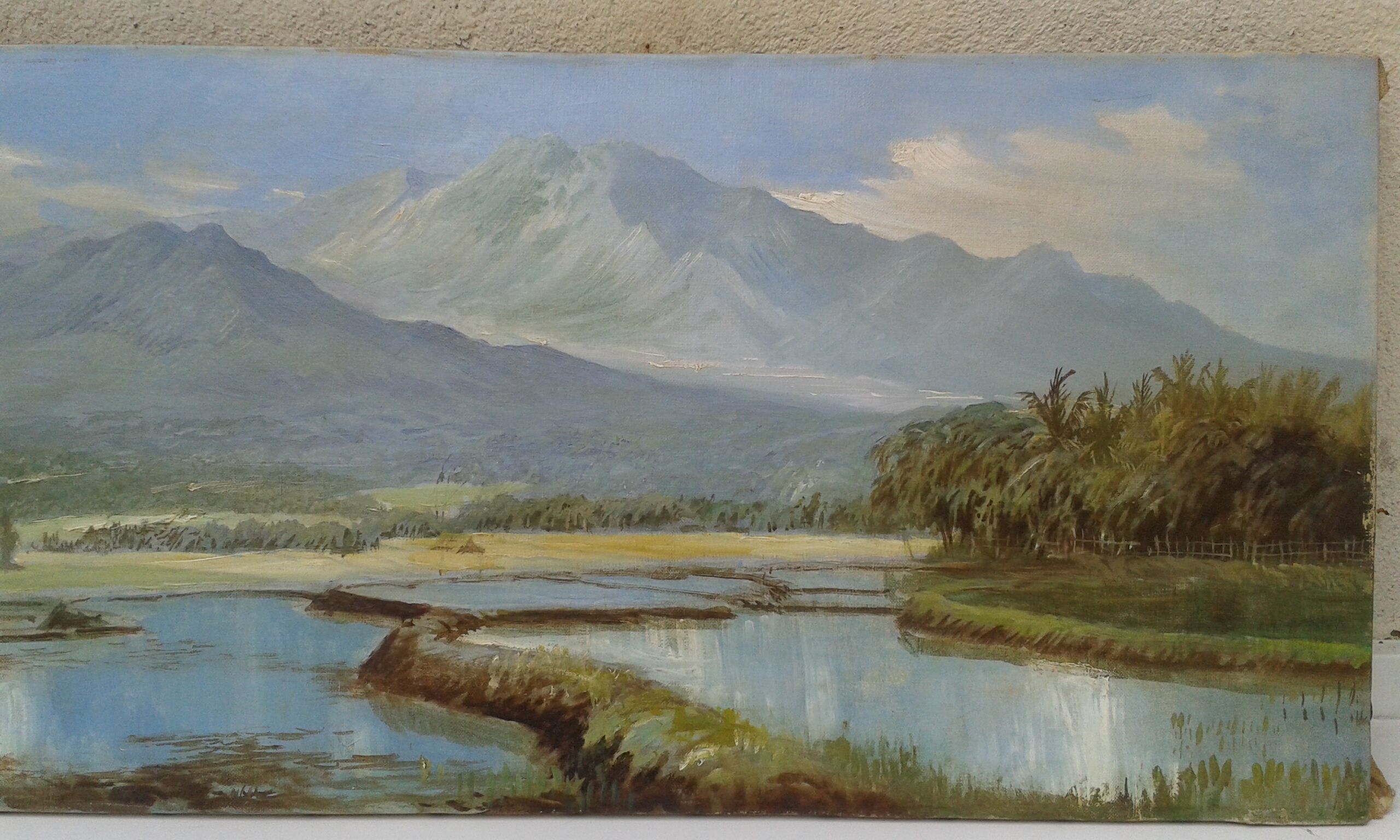 Rice paddy landscape Java Indonesia Abdullah Suriosubroto