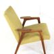 Pastoe Ruster Armchair by Yngve Ekstrom - Mid-Century Modern Design